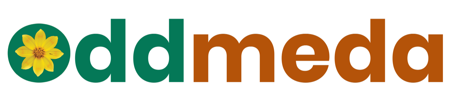 Oddmeda Logo
